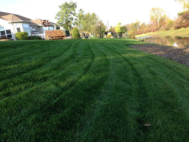 Lawn Aeration & Top Dressing in Westlake, Ohio - Yards Done Right
