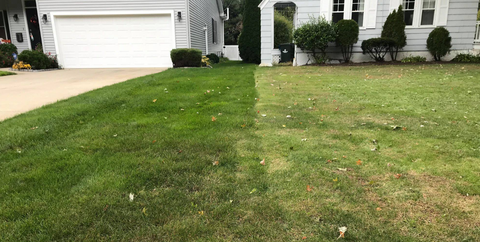 Westlake Ohio Yards Done Right, Done Right Lawn And Landscaping