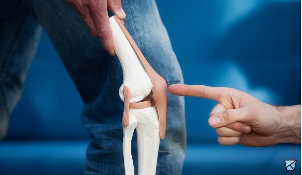 Contact Us For Chiropractic Adjustments in Wyomissing, Reading, and Berks County, PA