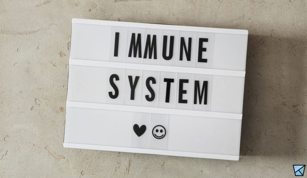 Contact us for chiropractic care to boost your immune system in Reading, Wyomissing and Berks County