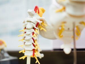 understanding disc-related pain: causes and prevention