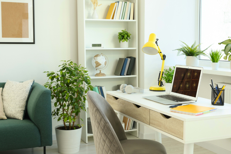 productivity and home office renovation