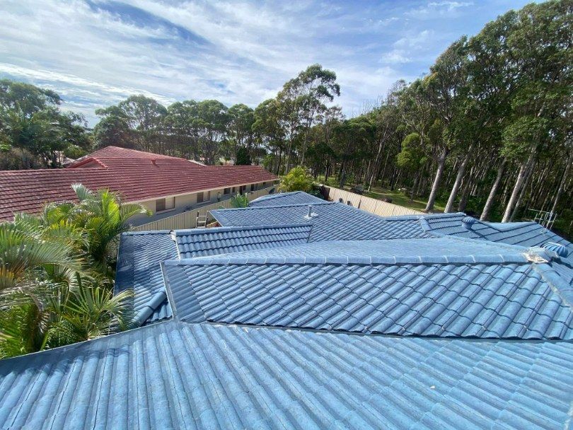 A Blue Roof Of A House With Trees In The Background — The Guttering Cleaning Man in Taree, NSW