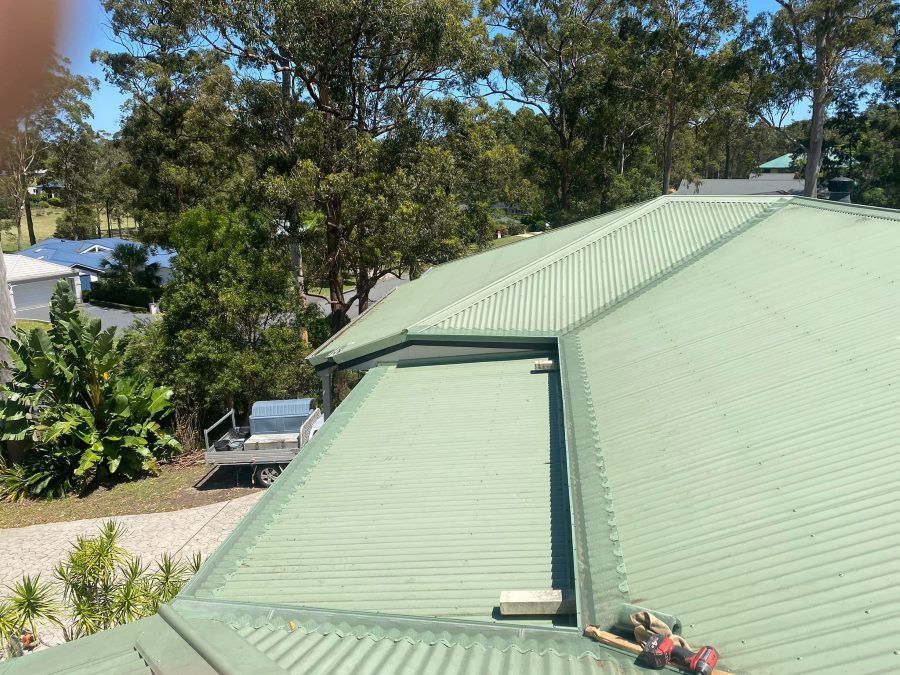 A Green Roof Of A House With Trees In The Background — The Guttering Cleaning Man in Forster, NSW