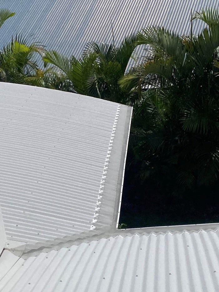 A White Corrugated Metal Roof With Palm Trees In The Background — The Guttering Cleaning Man in Taree, NSW
