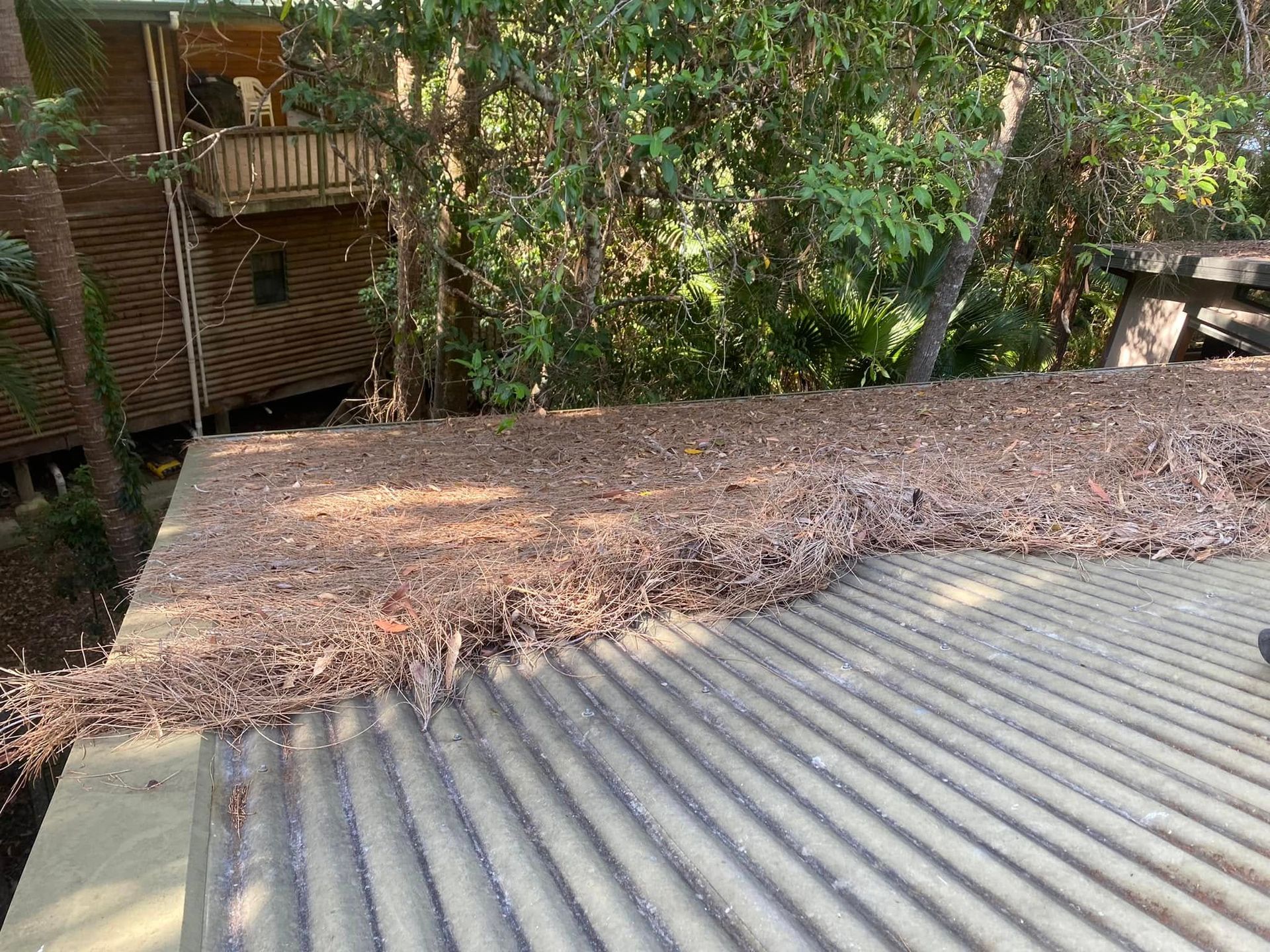 A Gutter On The Side Of A Roof With Trees In The Background — The Guttering Cleaning Man in Forster, NSW