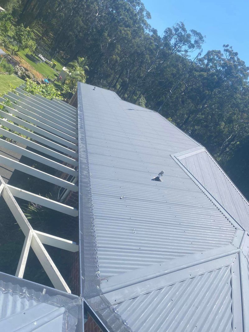 A Bird Is Sitting On The Roof Of A Building — The Guttering Cleaning Man in Taree, NSW