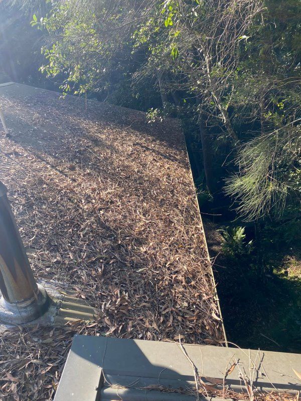 A Roof With A Lot Of Leaves On It And Trees In The Background — The Guttering Cleaning Man in Old Bar, NSW