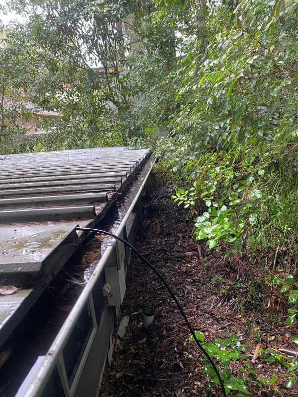 A Gutter With A Hose Attached To It Is Surrounded By Trees — The Guttering Cleaning Man in Old Bar, NSW