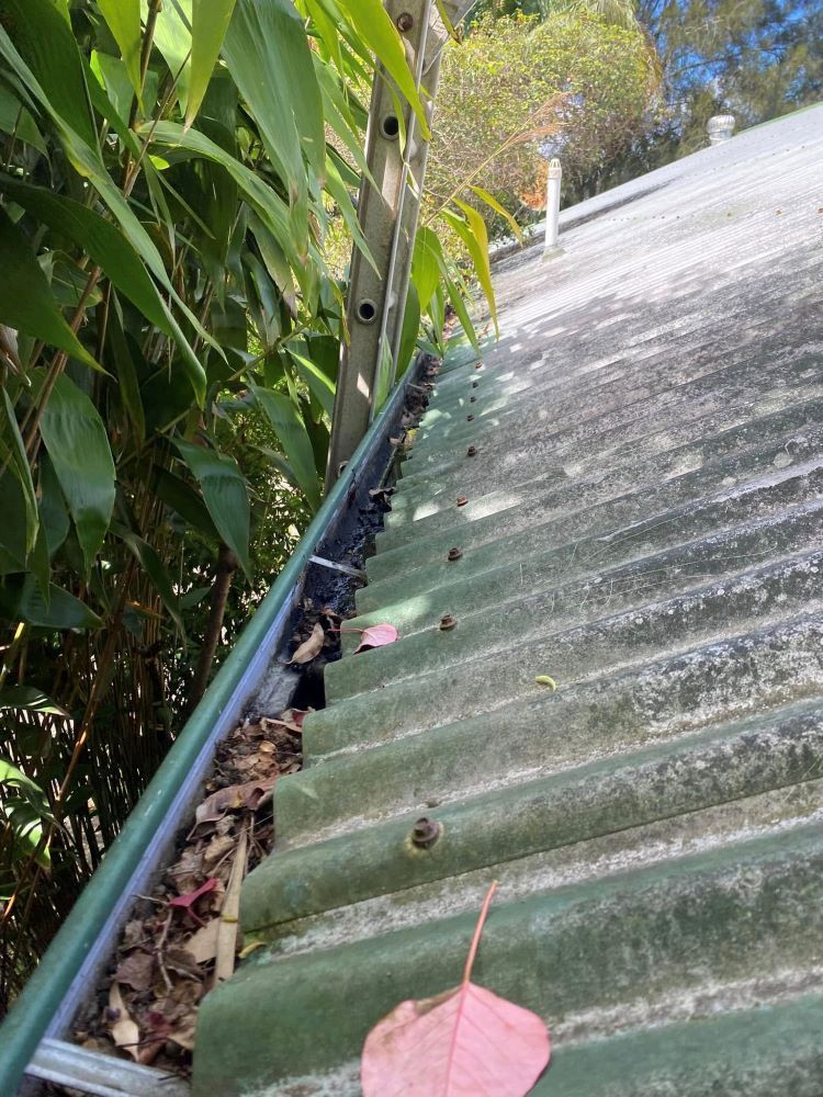 A Gutter With Leaves On It Is On The Roof Of A Building — The Guttering Cleaning Man in Old Bar, NSW