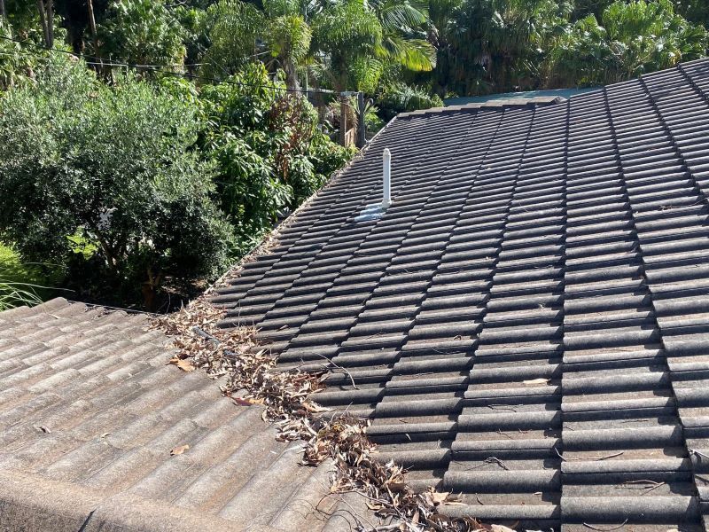 A Roof With A Lot Of Leaves On It And Trees In The Background — The Guttering Cleaning Man in Harrington, NSW