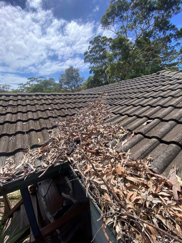 A Gutter Filled With Leaves And Branches On The Roof Of A House — The Guttering Cleaning Man in Harrington, NSW