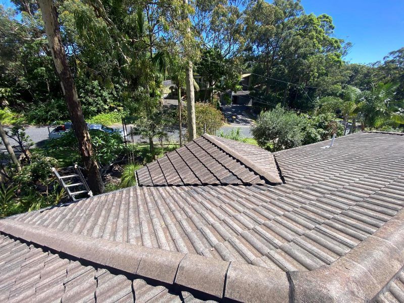 A Roof With A Ladder On It And Trees In The Background — The Guttering Cleaning Man in Harrington, NSW