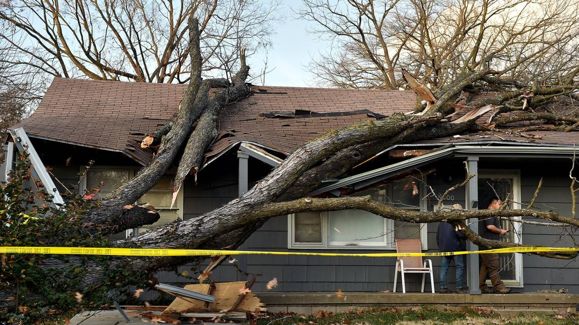 Storm Damage, Fallen Tree on Roof of House, Insurance Roof Replacement Restoration Job, Connecticut Roofing Solutions