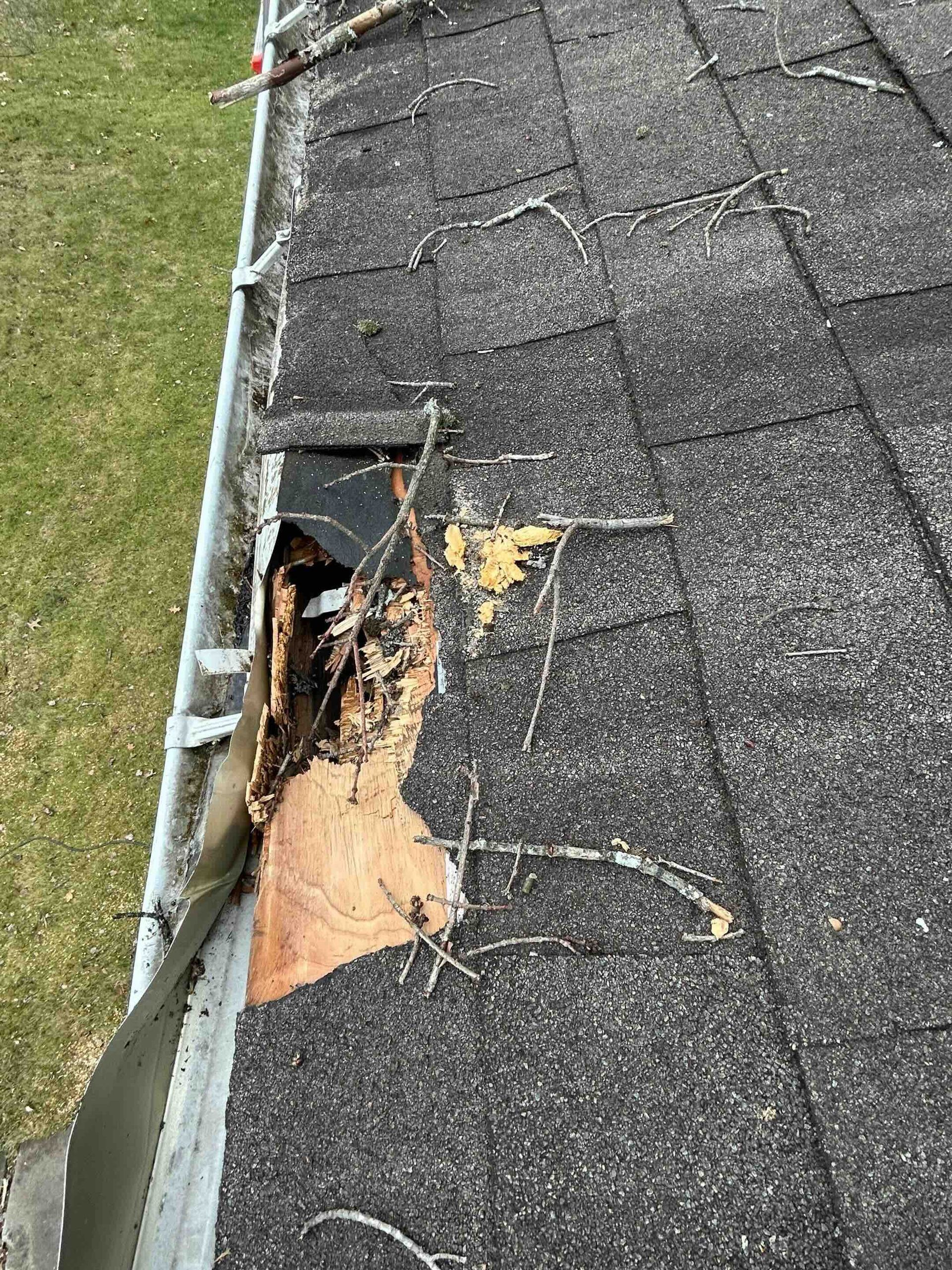 hole in asphalt shingle roof due to tree damage in west hartford, ct