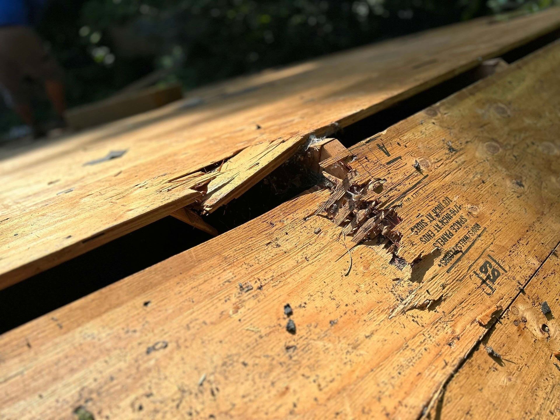 Tree Strike Broken Roof Plywood Decking in Hartford, CT