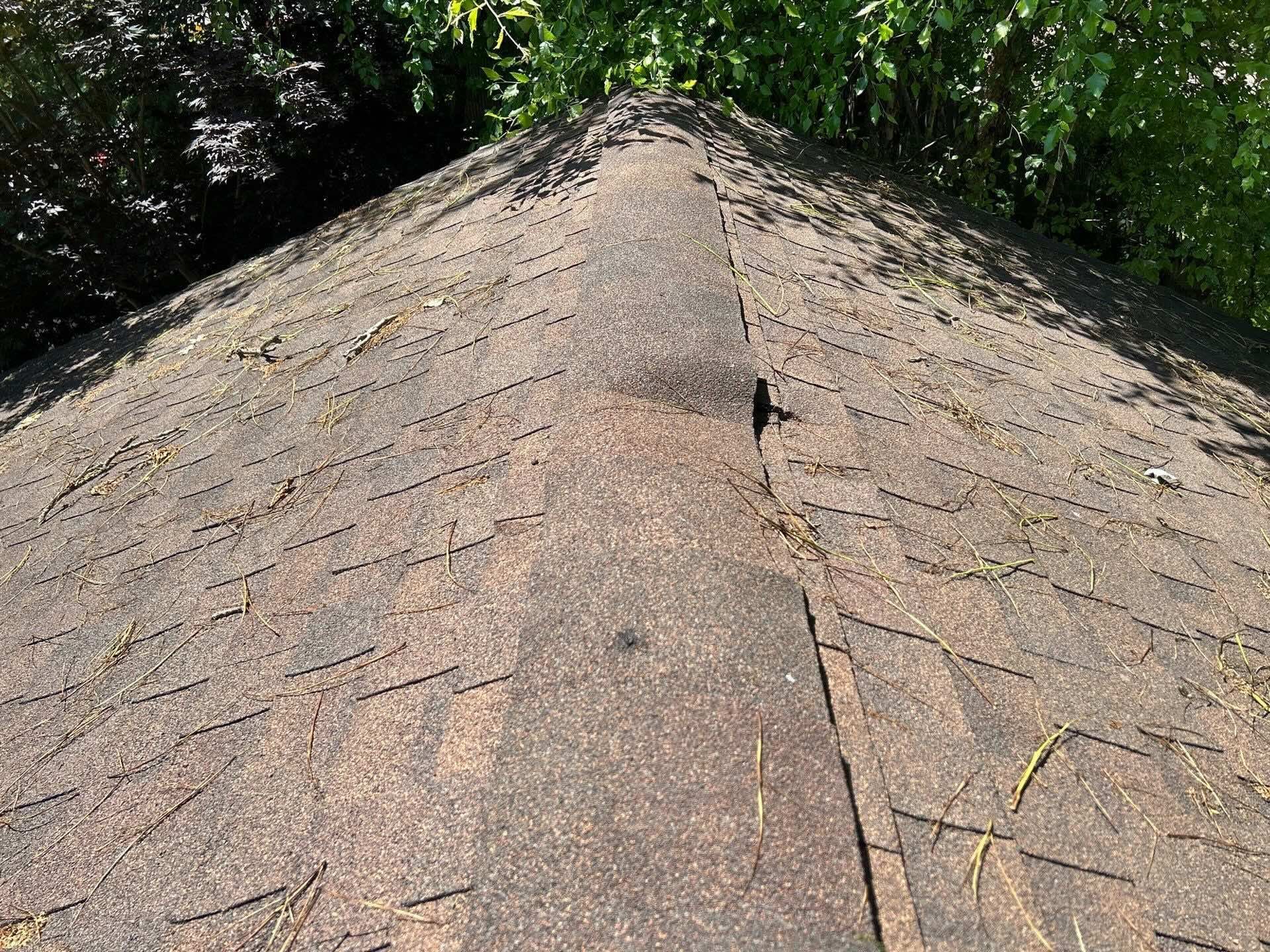 Tree Strike on Garage Roof Ridge in Hartford County