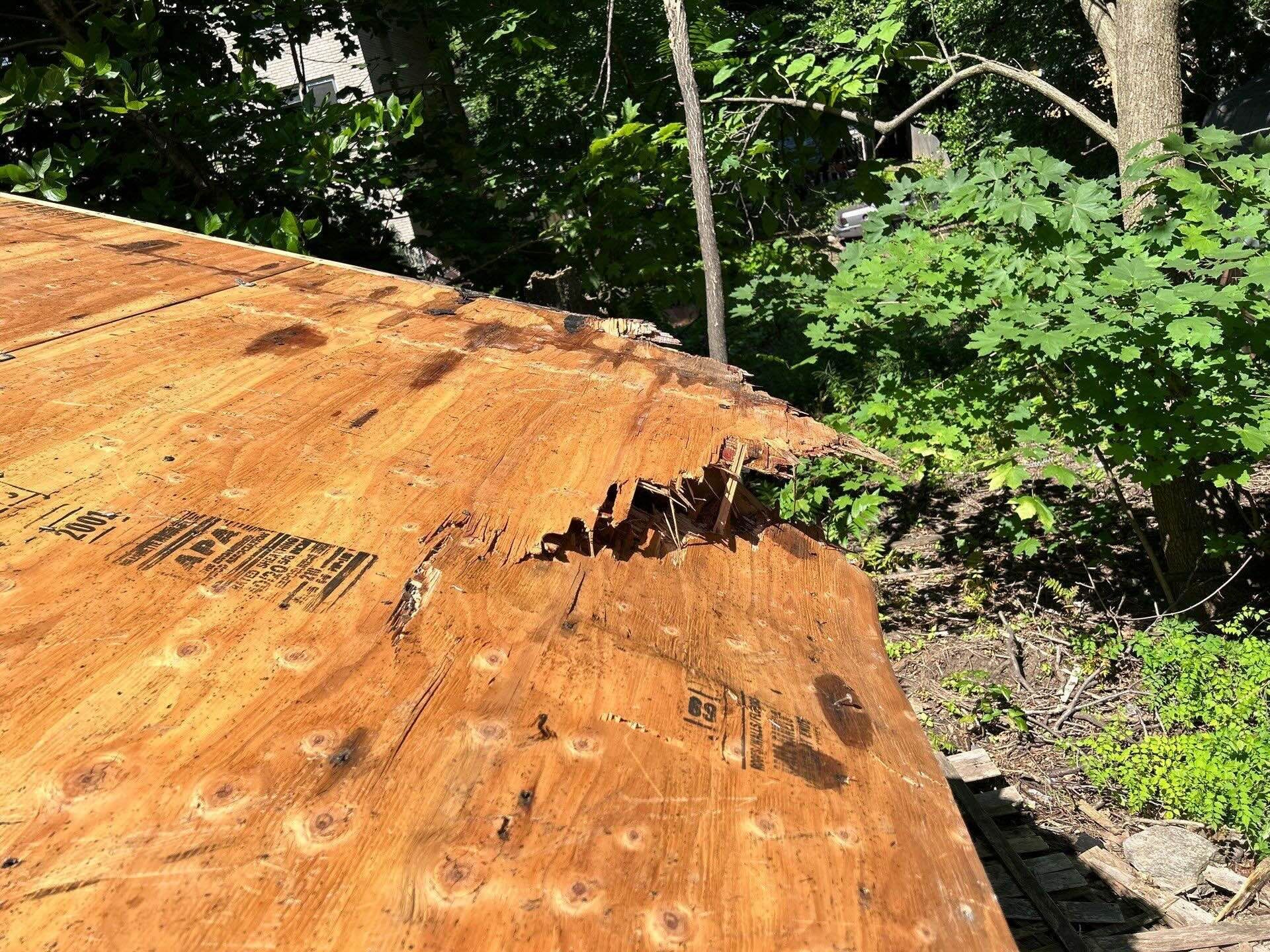 Storm Damage on Garage Roof from Tree Strike in Hartford, CT