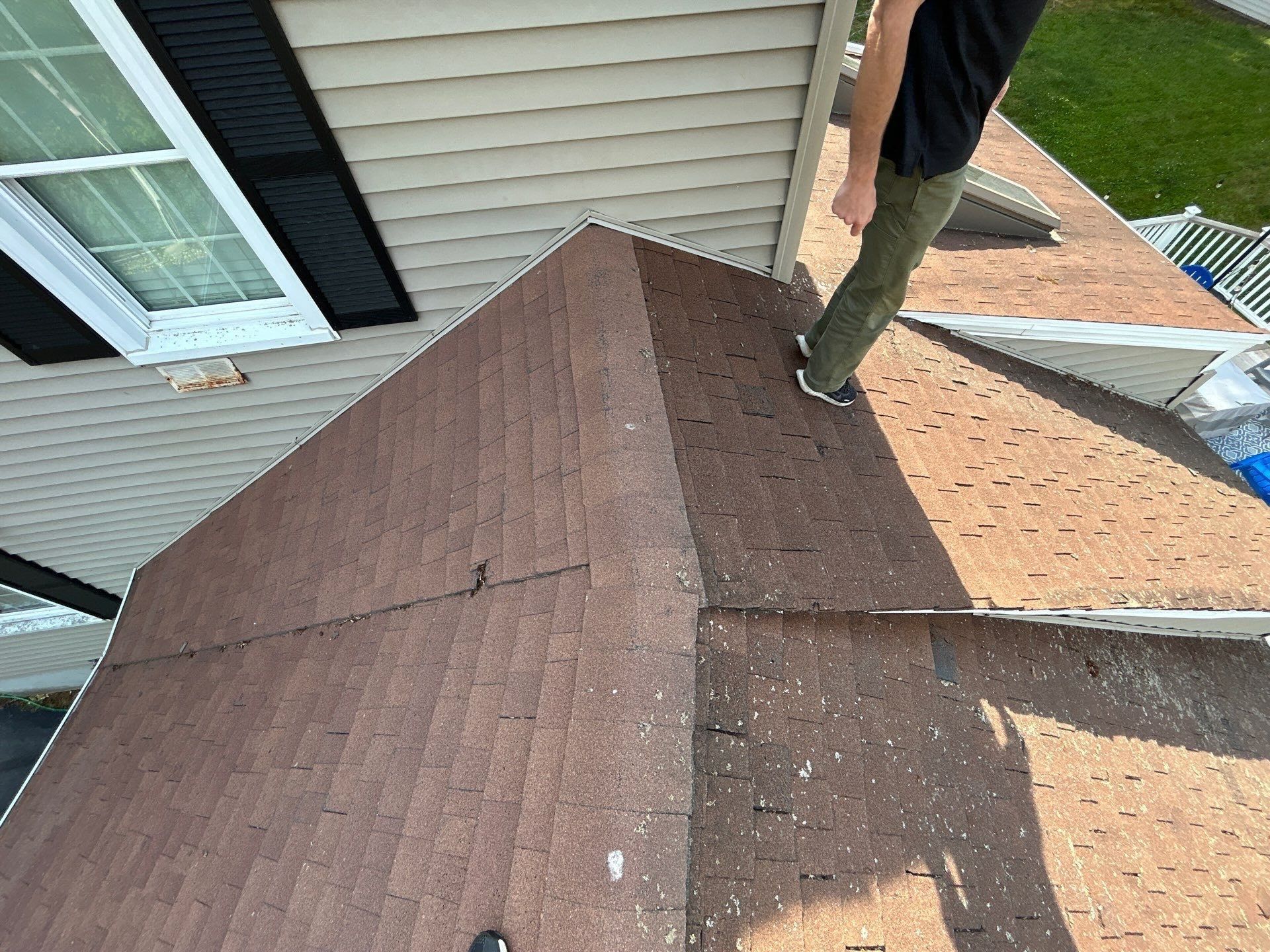 damaged shingles and lichen growth on west hartford, ct residential roof