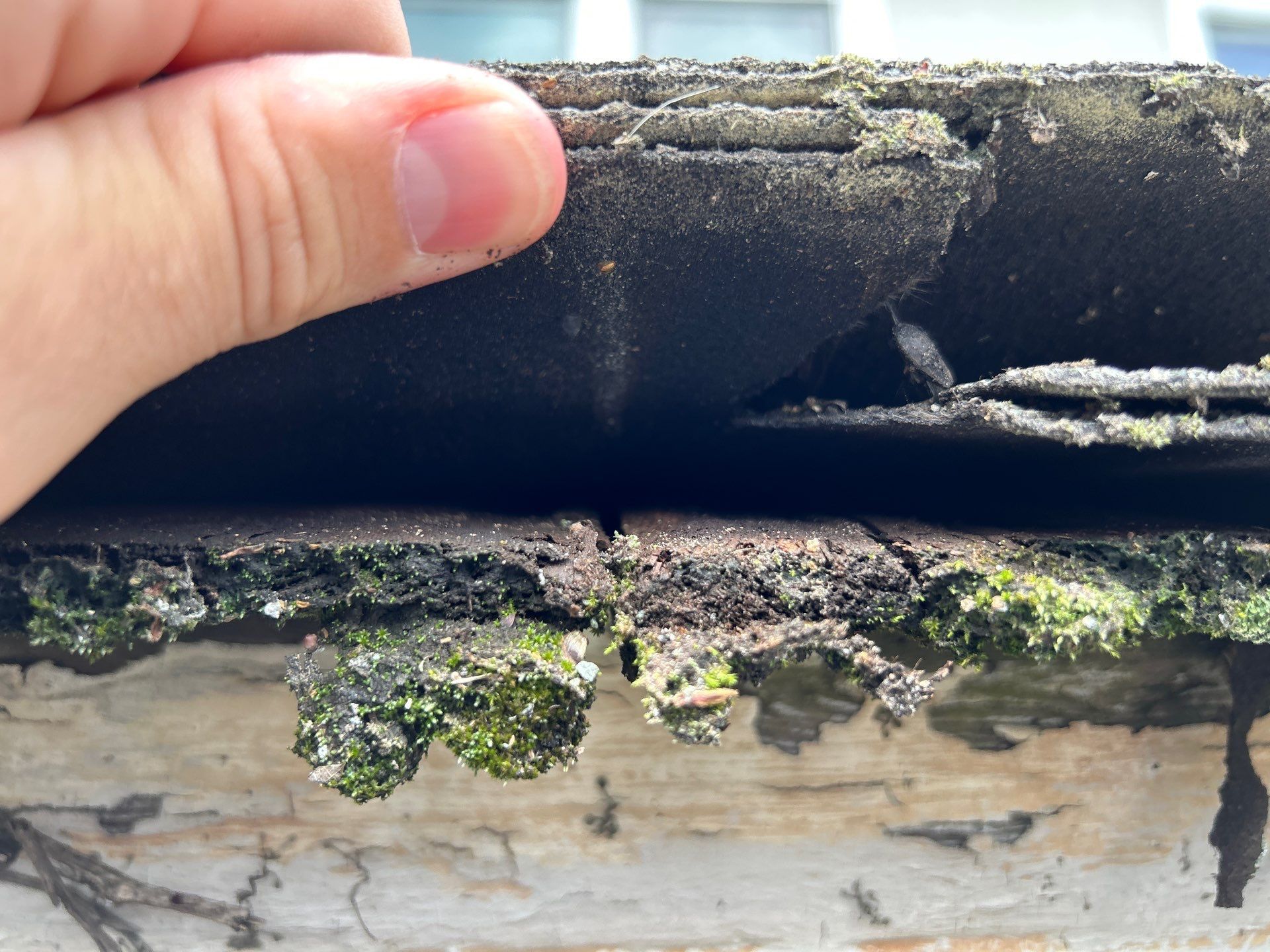 multiple roof layers including asphalt and cedar shingles