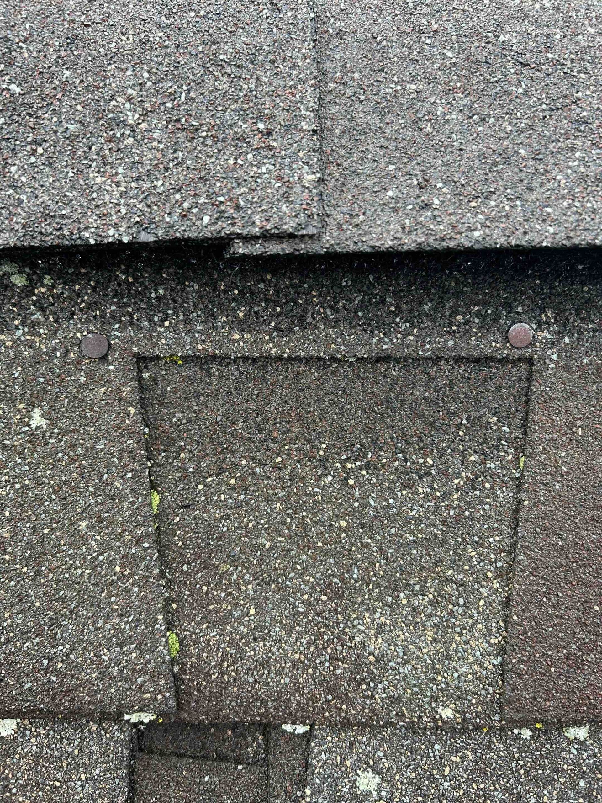 exposed nail head and old shingles