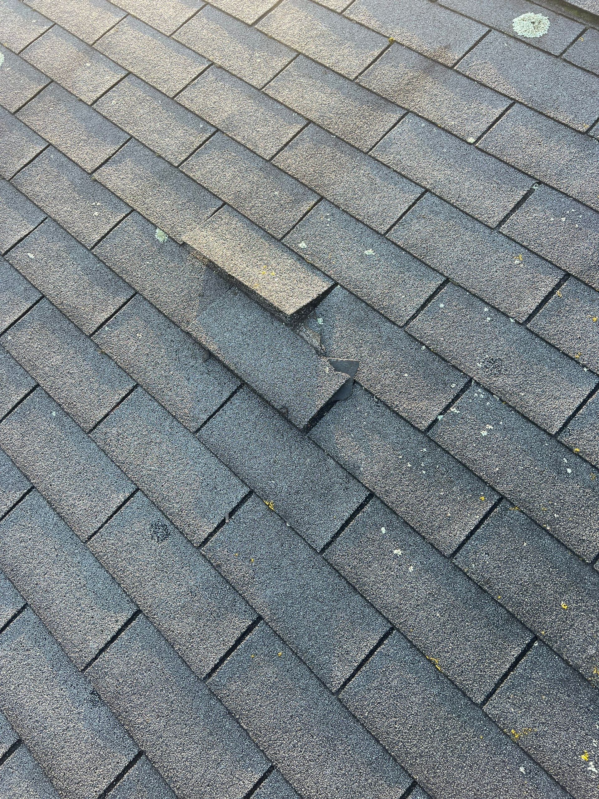 insurance claim roof inspection in new britain, ct