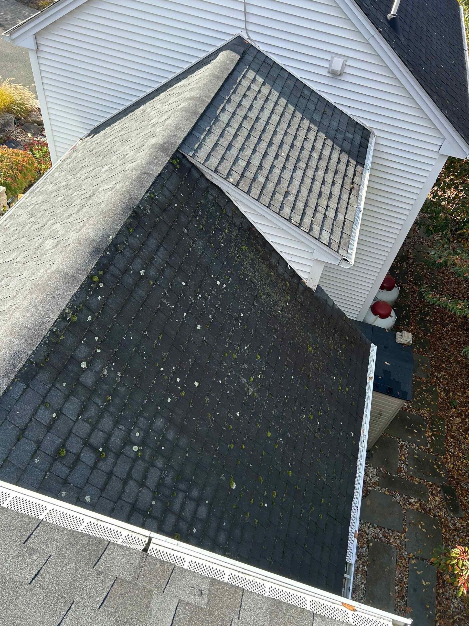 mold and milieu growing on roof