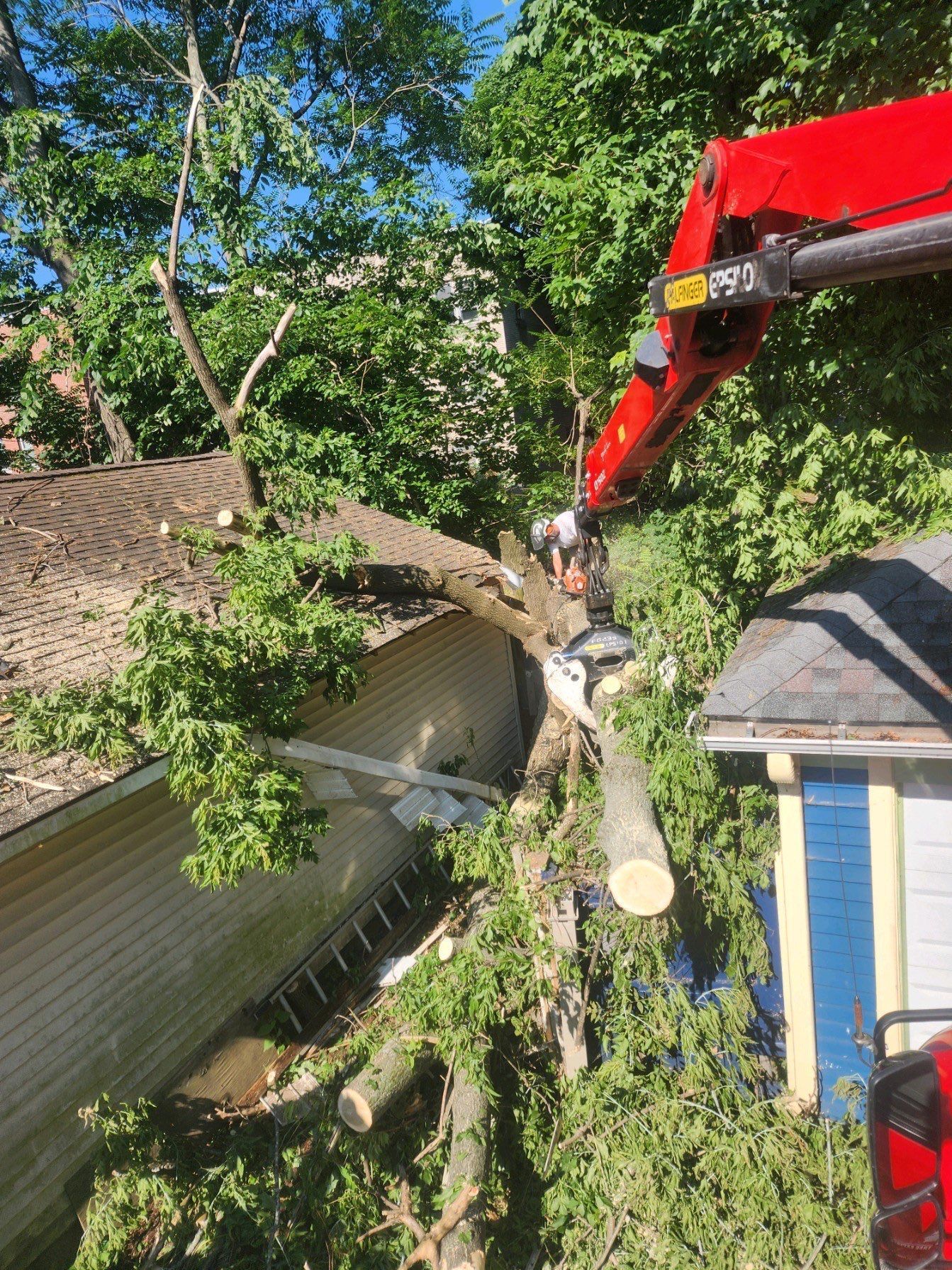 Trout Brook Arborist Emergency Tree Removal in Hartford, CT