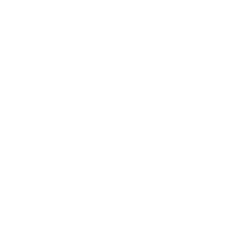 Chosen Children Village white logo