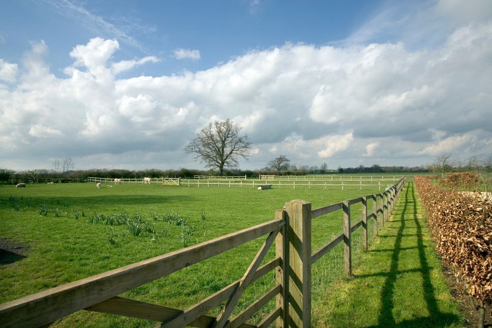 A Wooden Fence Surrounds a Grassy Field With a Tree — Perry's Timber & Fencing In Dapto, NSW
