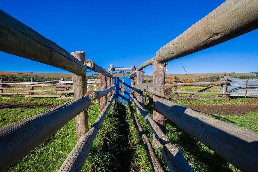 A Wooden Fence Surrounds a Grassy Field on a Sunny Day — Perry's Timber & Fencing In Kiama, NSW