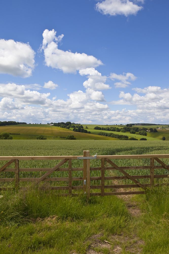 There is a Wooden Gate in the Middle of a Field — Perry's Timber & Fencing In Dapto, NSW