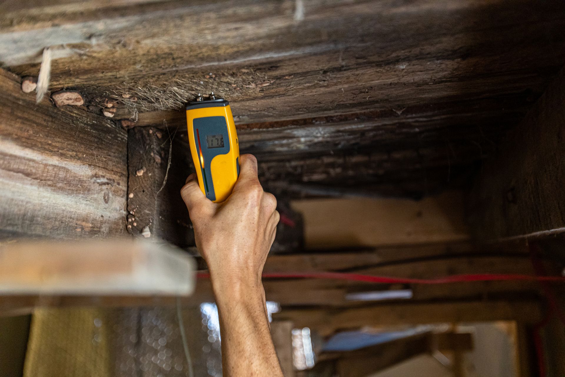 Hand holding a yellow moisture meter, inspecting moldy wooden structure in a dim room.