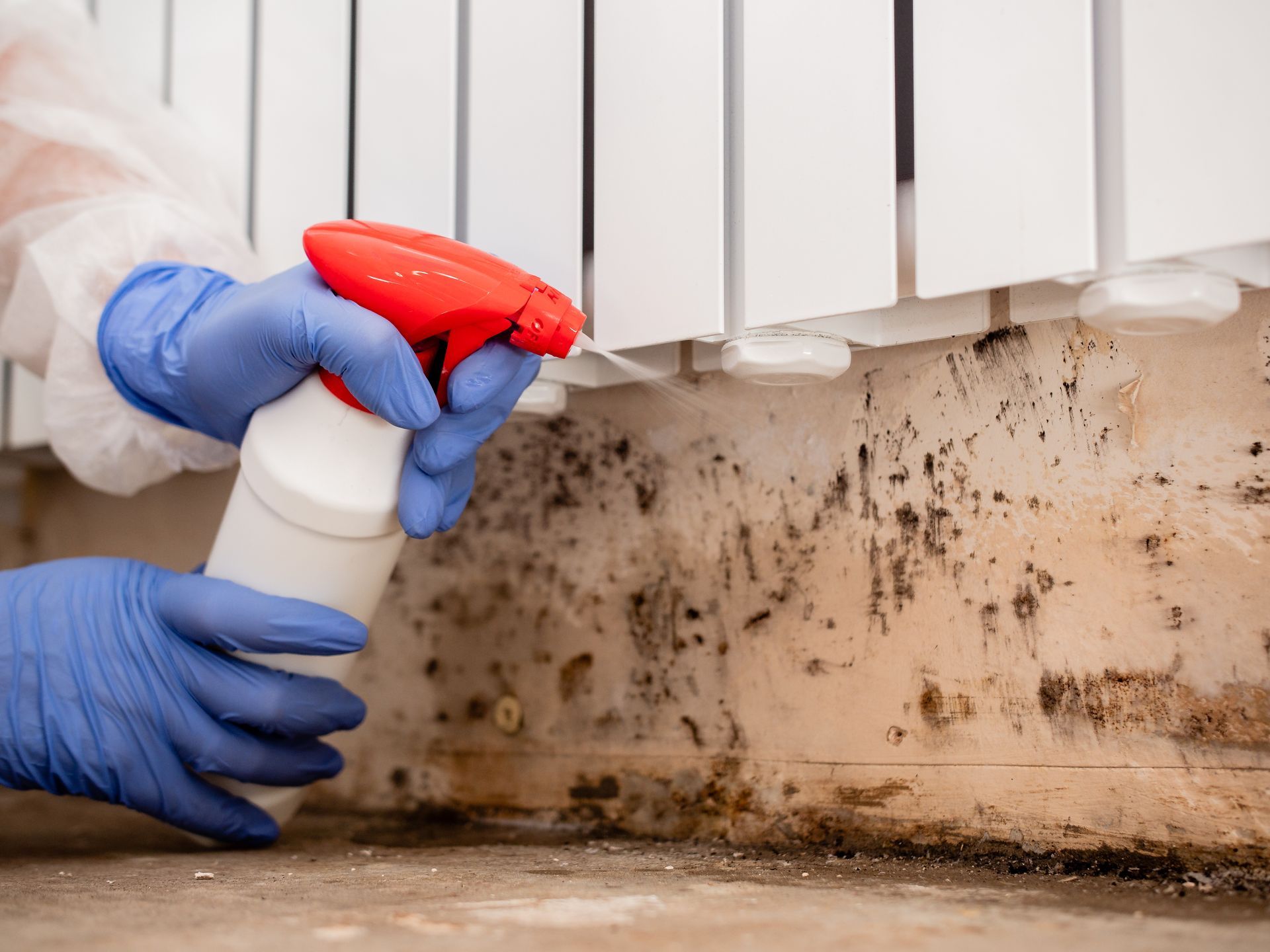 Person in protective gear spraying a white bottle at black mold on a wall.
