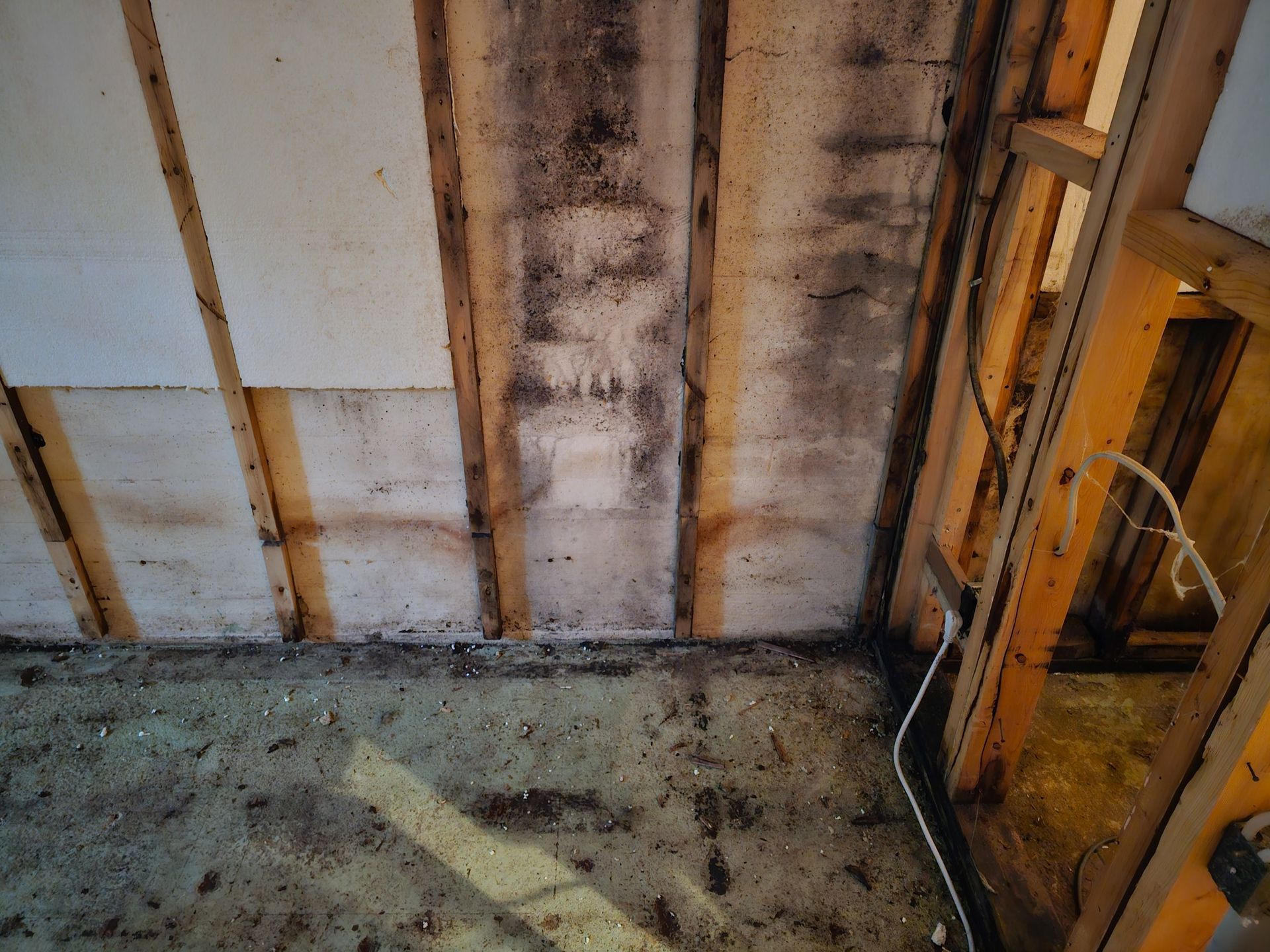 Moldy wall interior with exposed wood studs, white paneling, and debris on floor.