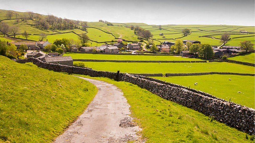 A dirt road going through a grassy field with a stone wall.
