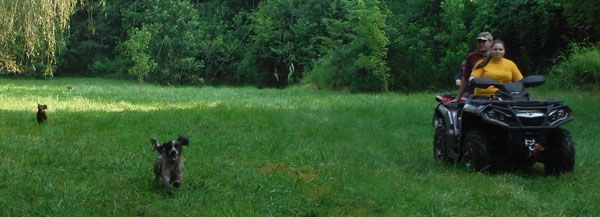 ATV Running with Dog