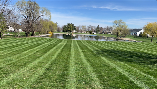 Lawn with freshly mown stripes leading to a pond under a blue sky, trees in the background.