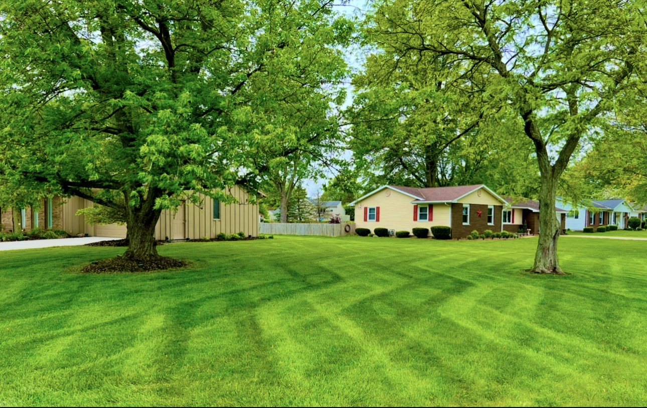 Lush green lawn with patterned mowing, framing houses with trees in the background.
