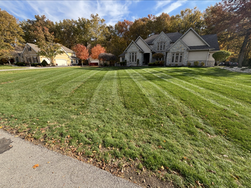 Lawn with freshly cut stripes in front of two houses. Trees with fall foliage and a blue sky in background.