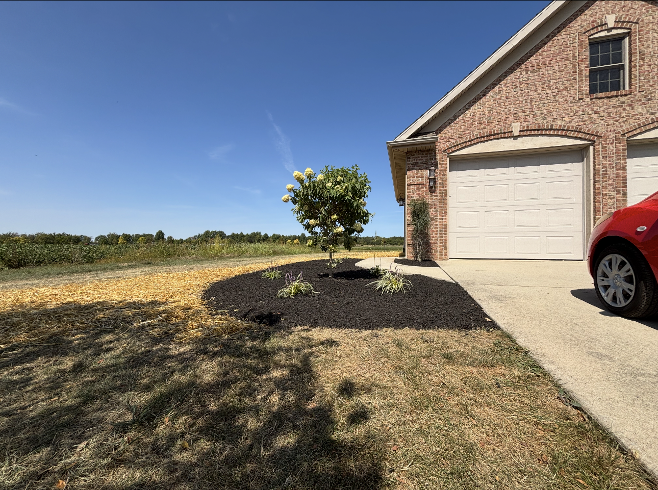 House exterior with driveway and dry grass lawn. A tree is centered with fresh mulch. Blue sky.