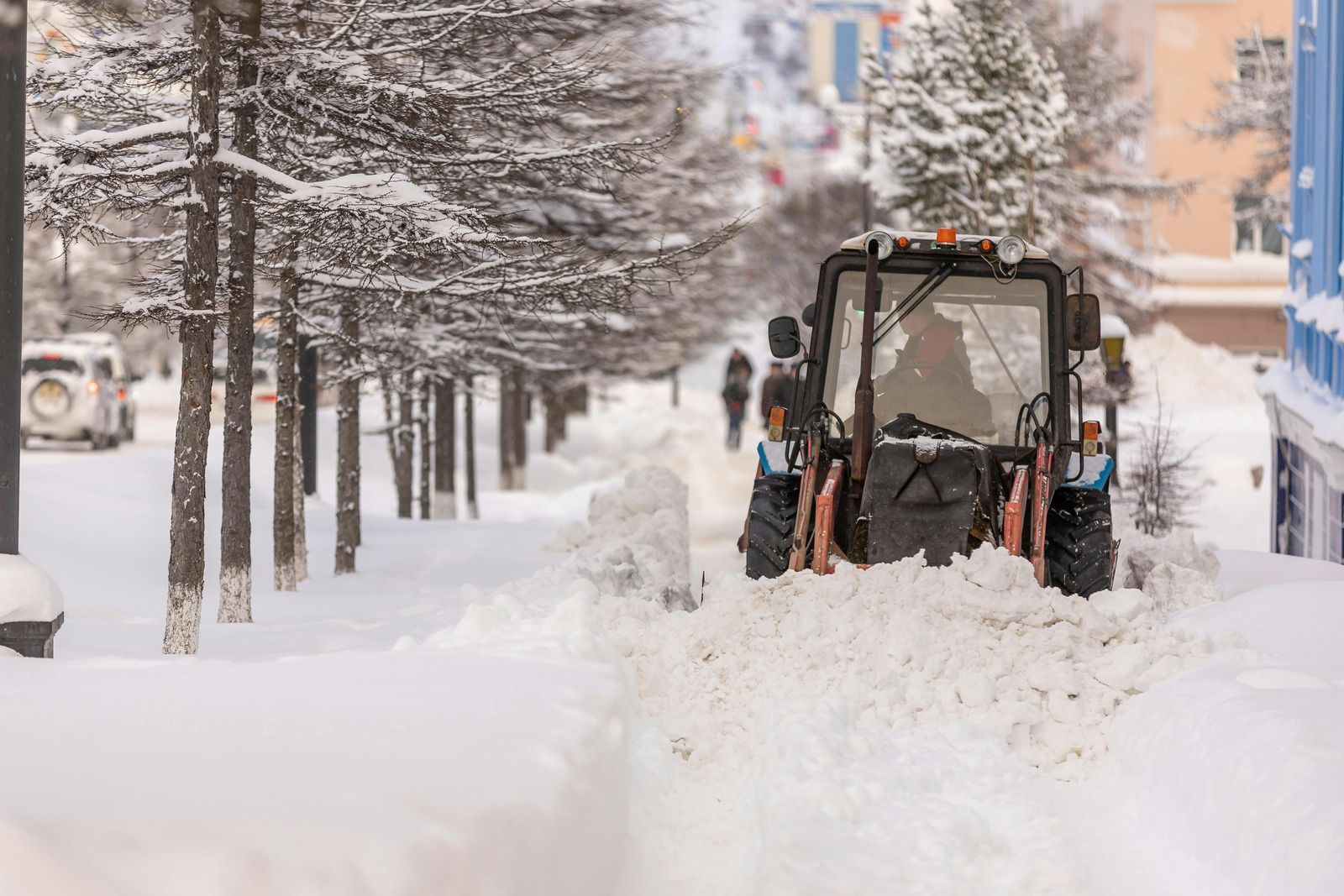Snowplow clearing a snow-covered street in winter, lined with trees and buildings.