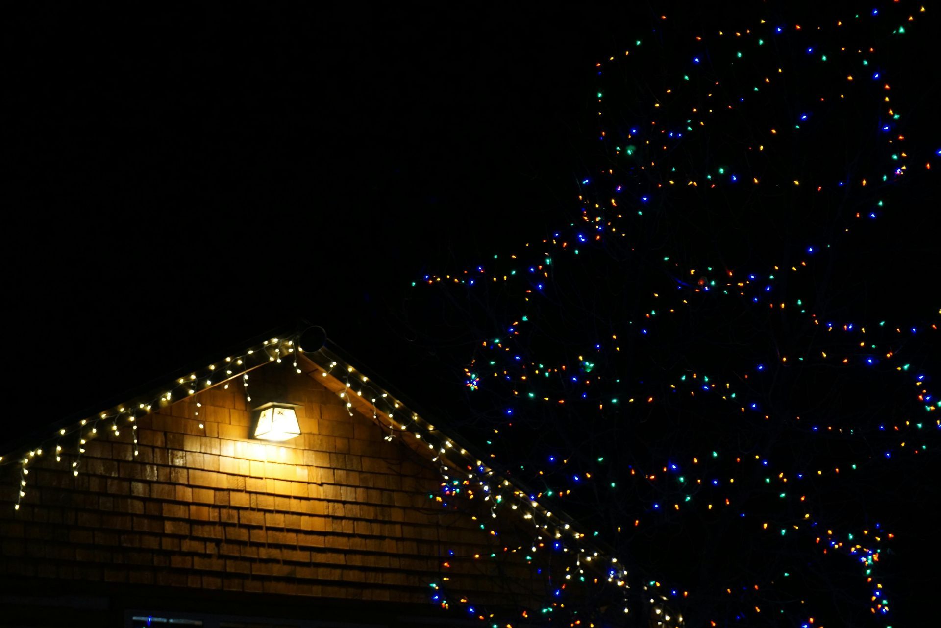 Cozy living room with Christmas tree, seen through glass doors with string lights.