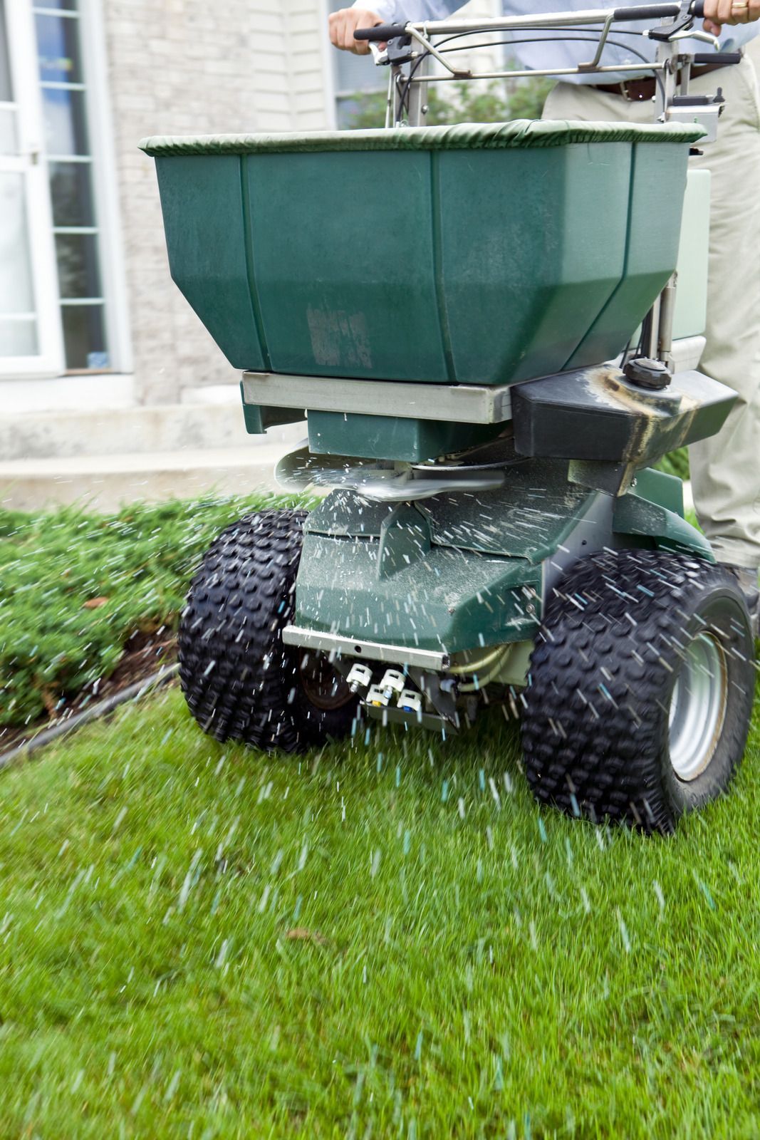 Person using a green fertilizer spreader on a lawn, dispensing granules onto the grass.