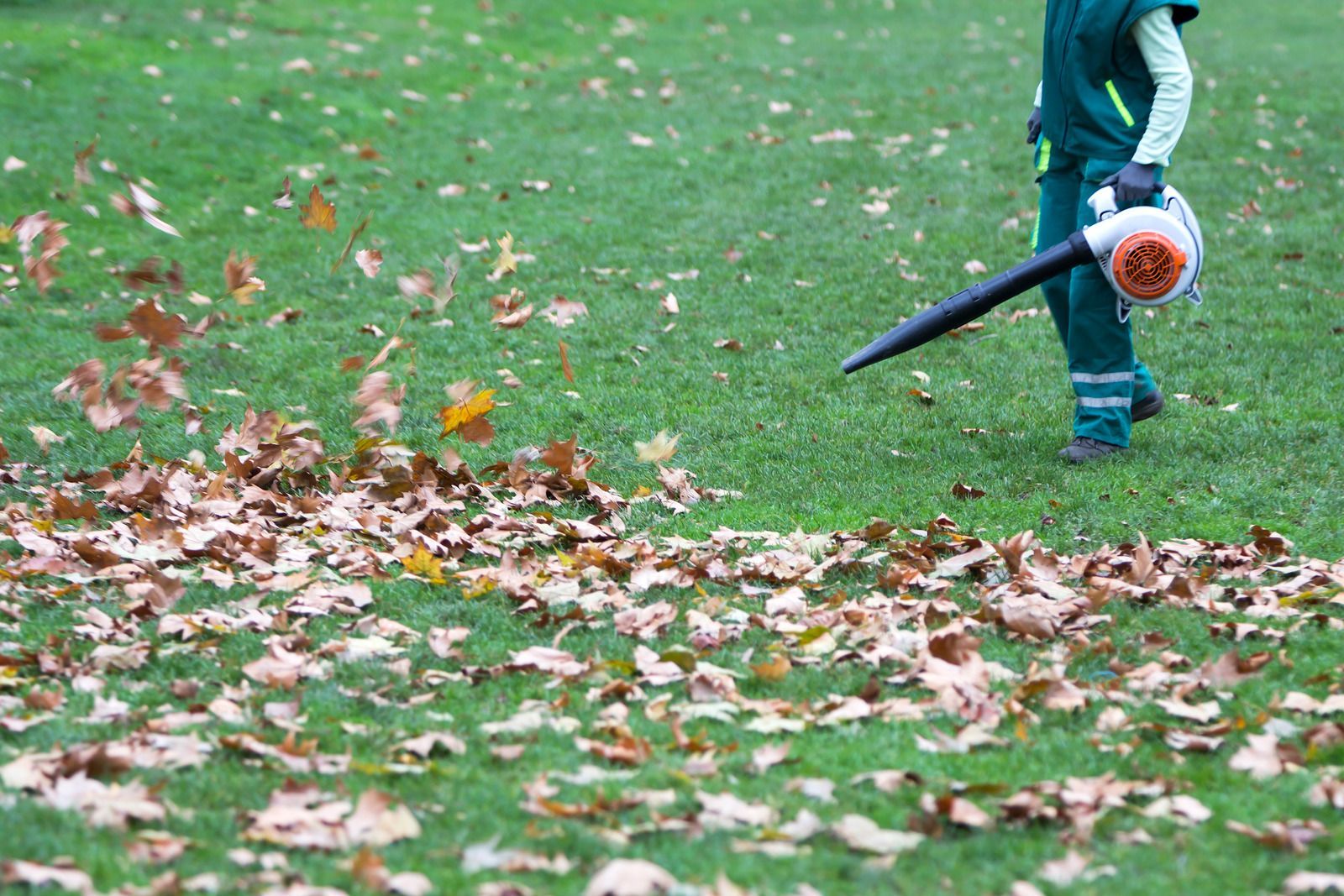 Person in green uniform using a leaf blower on a grassy lawn with fallen leaves.