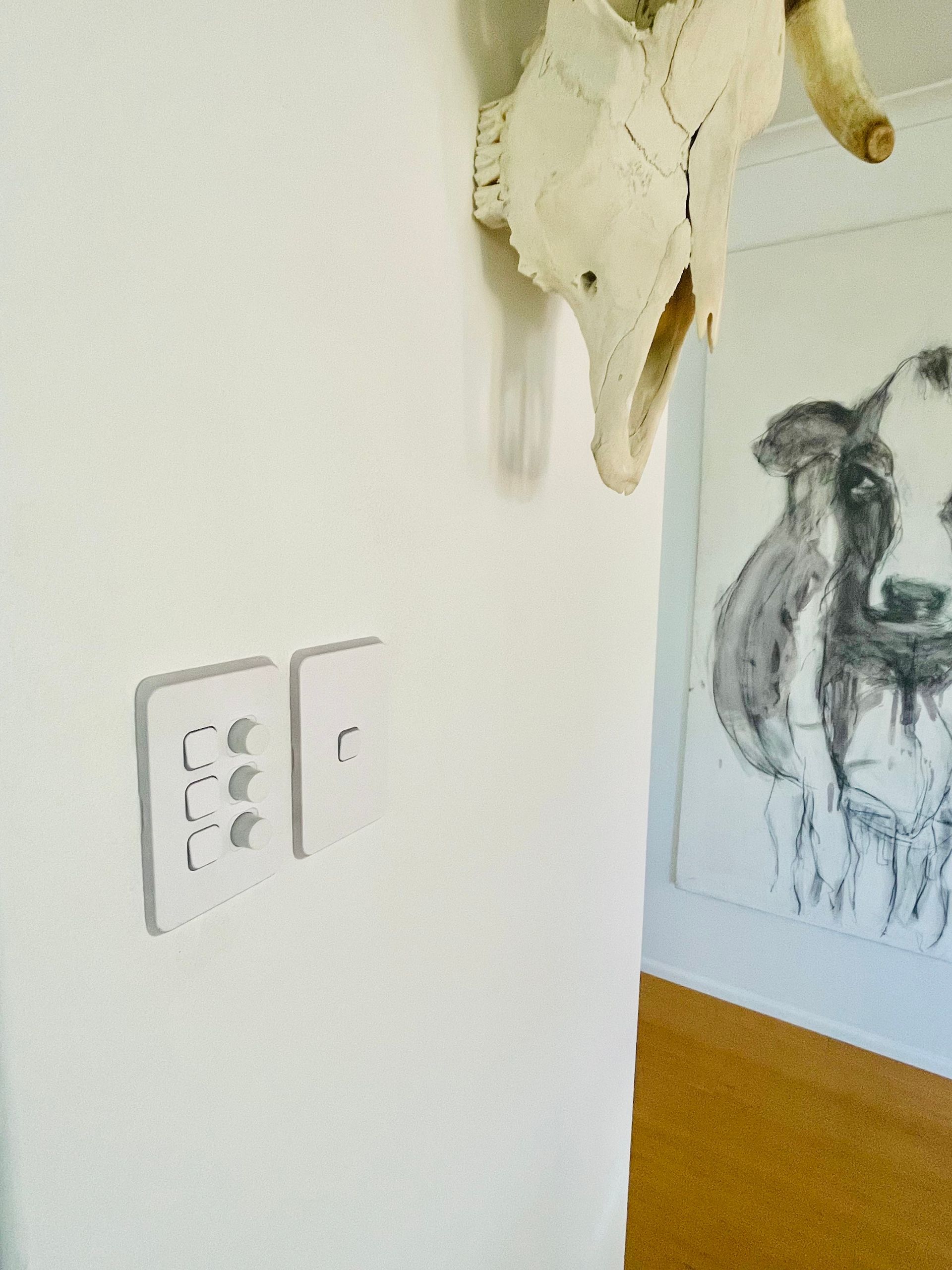 White Wall With Electrical Outlets, Cow Skull, and Cow Painting — Grant Murphy Electrical in Kingscliff, NSW