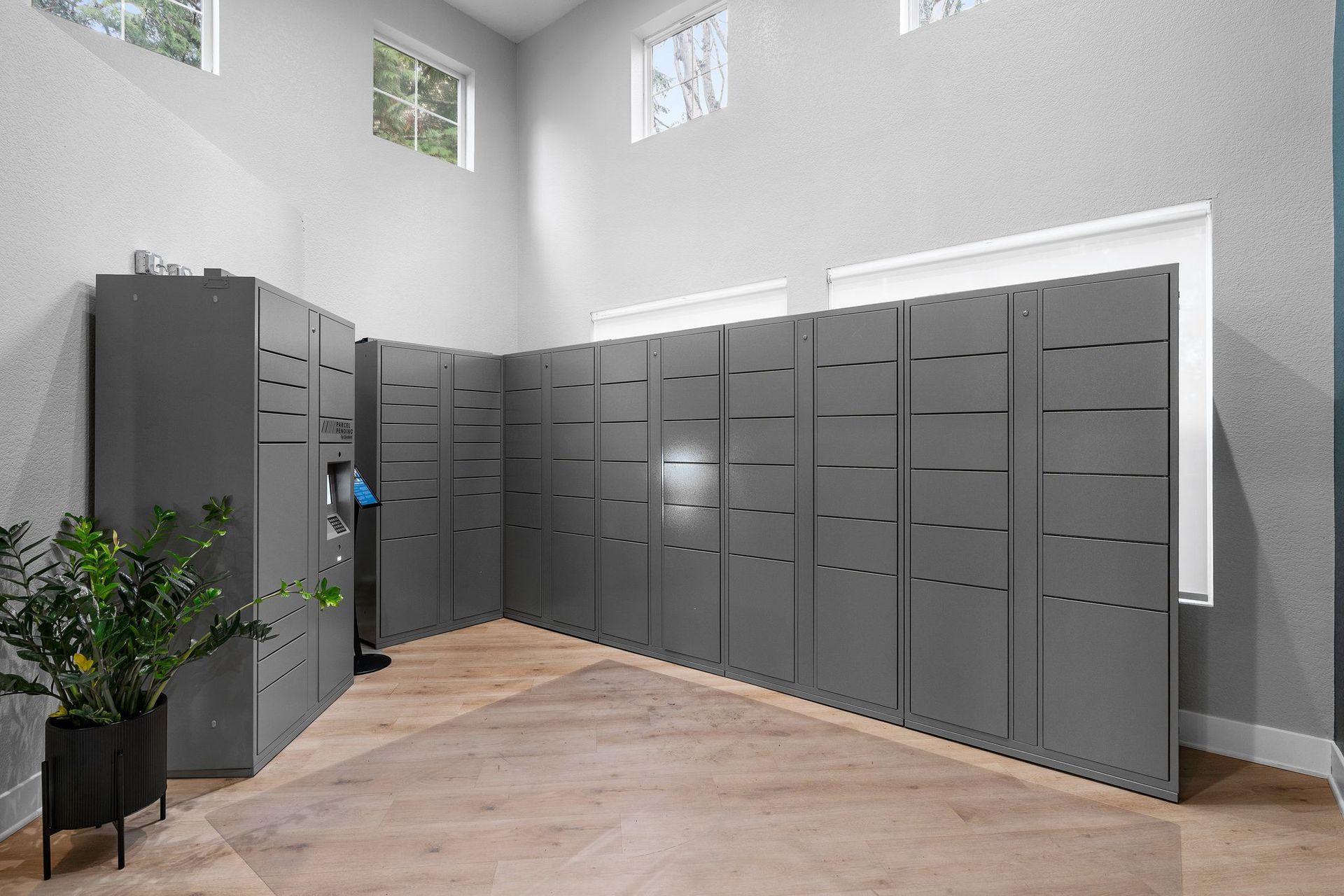 Gray storage lockers fill a room with wood flooring, windows, and a potted plant.