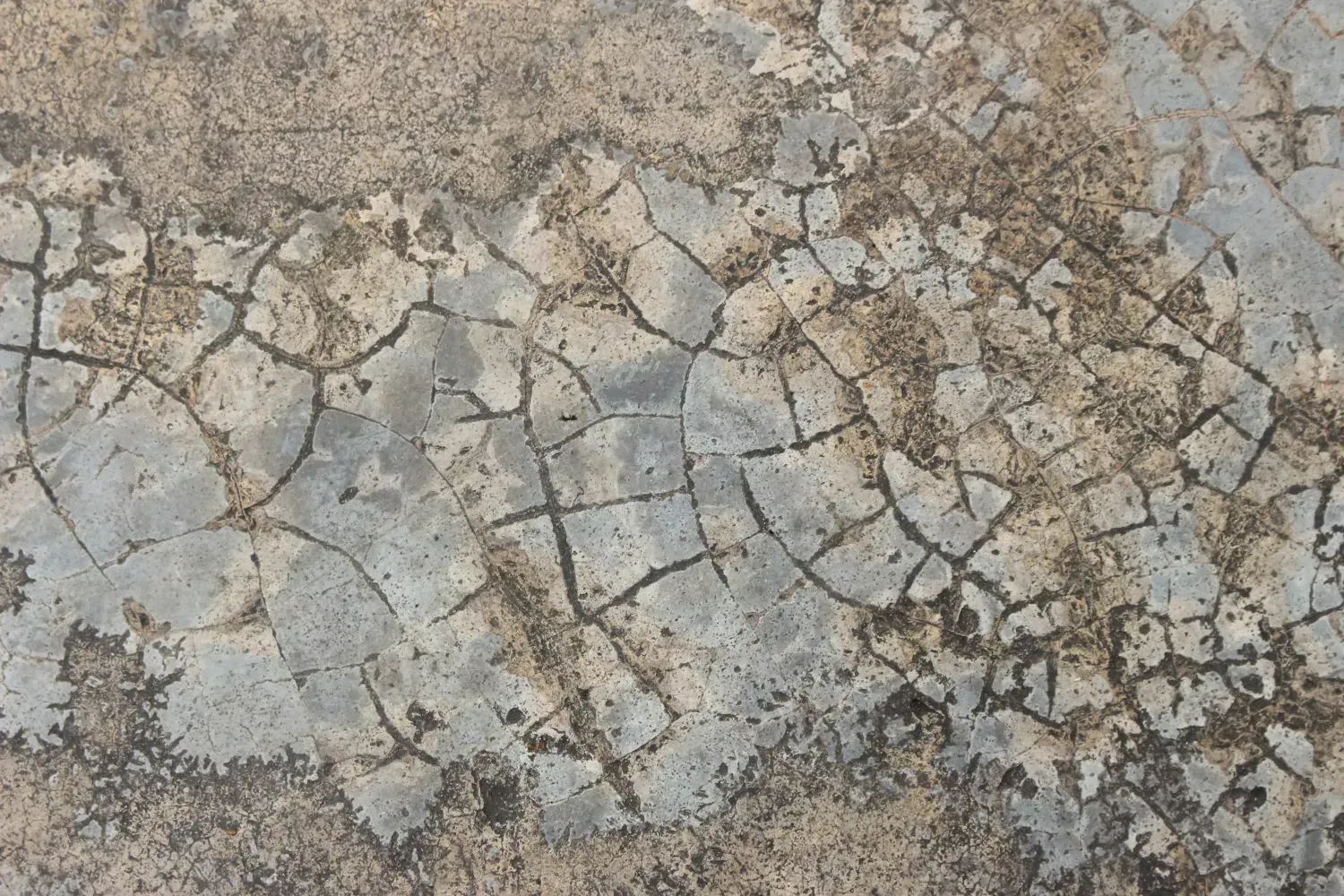 A close up of a cracked concrete surface