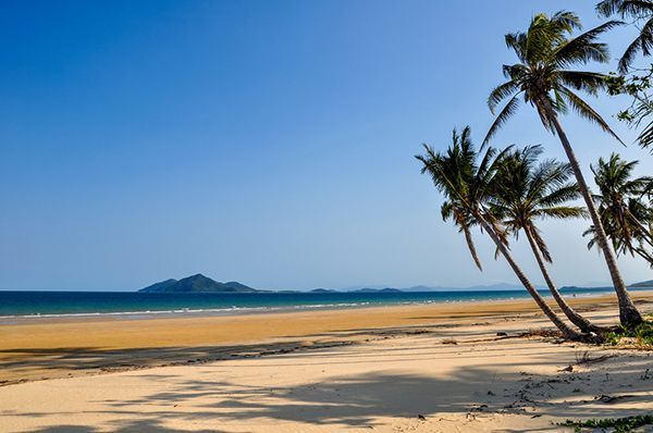 A Tropical Beach With Palm Trees and a Blue Sky — Cairns Auto Electrical Mechanical Air & Audio in Mareeba, QLD