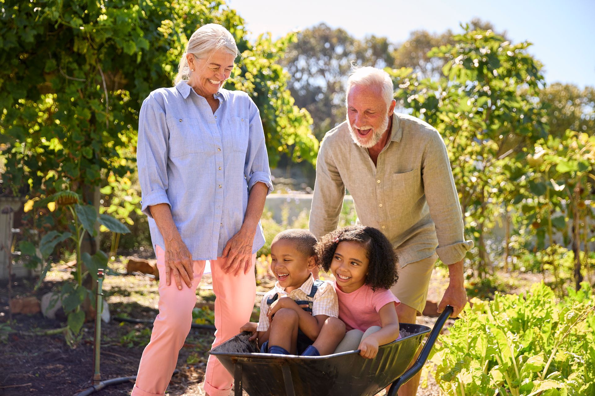 An elderly couple is pushing a wheelbarrow with two children in it.